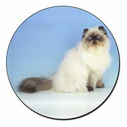 Himalayan Cat Fridge Magnet Printed Full Colour