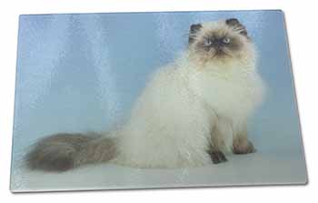 Large Glass Cutting Chopping Board Himalayan Cat