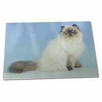 Large Glass Cutting Chopping Board Himalayan Cat