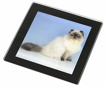 Himalayan Cat Black Rim High Quality Glass Coaster