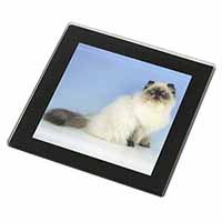 Himalayan Cat Black Rim High Quality Glass Coaster