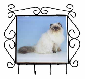 Himalayan Cat Wrought Iron Key Holder Hooks