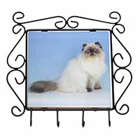 Himalayan Cat Wrought Iron Key Holder Hooks