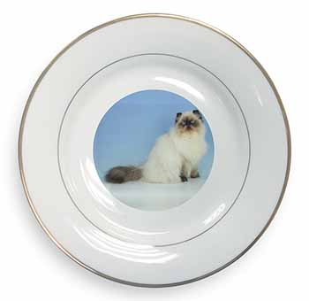 Himalayan Cat Gold Rim Plate Printed Full Colour in Gift Box