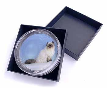 Himalayan Cat Glass Paperweight in Gift Box