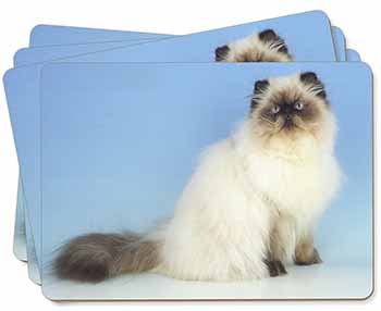 Himalayan Cat Picture Placemats in Gift Box