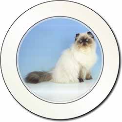 Himalayan Cat Car or Van Permit Holder/Tax Disc Holder