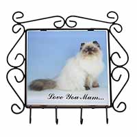 Himalayan Cat 