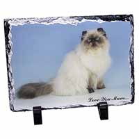 Himalayan Cat 