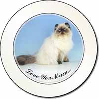 Himalayan Cat 