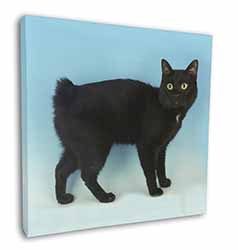 Cute Black Bobtail Cat Square Canvas 12"x12" Wall Art Picture Print