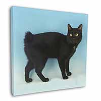 Cute Black Bobtail Cat Square Canvas 12"x12" Wall Art Picture Print