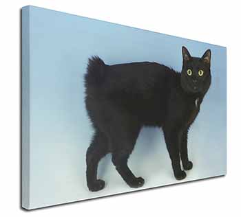 Cute Black Bobtail Cat Canvas X-Large 30"x20" Wall Art Print