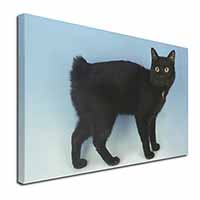 Cute Black Bobtail Cat Canvas X-Large 30"x20" Wall Art Print