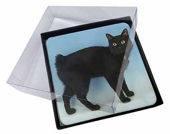 4x Cute Black Bobtail Cat Picture Table Coasters Set in Gift Box