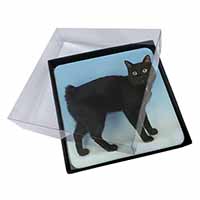 4x Cute Black Bobtail Cat Picture Table Coasters Set in Gift Box