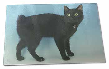 Large Glass Cutting Chopping Board Cute Black Bobtail Cat