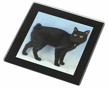 Cute Black Bobtail Cat Black Rim High Quality Glass Coaster