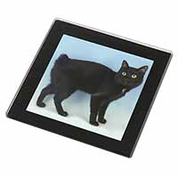 Cute Black Bobtail Cat Black Rim High Quality Glass Coaster