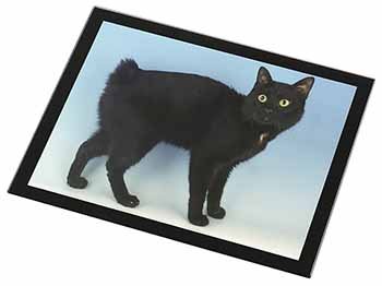 Cute Black Bobtail Cat Black Rim High Quality Glass Placemat