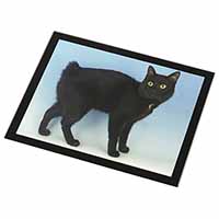 Cute Black Bobtail Cat Black Rim High Quality Glass Placemat