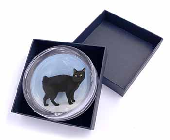 Cute Black Bobtail Cat Glass Paperweight in Gift Box