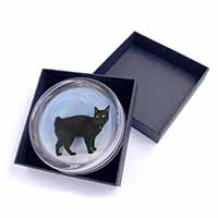 Cute Black Bobtail Cat Glass Paperweight in Gift Box