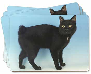 Cute Black Bobtail Cat Picture Placemats in Gift Box