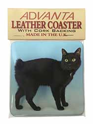 Cute Black Bobtail Cat Single Leather Photo Coaster