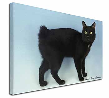 Black Bobtail Cat 