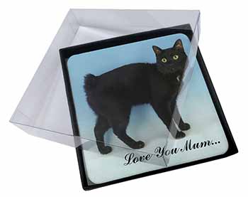 4x Black Bobtail Cat 