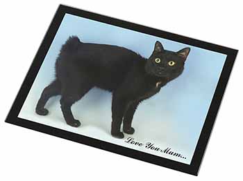 Black Bobtail Cat 