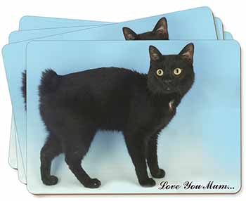 Black Bobtail Cat 