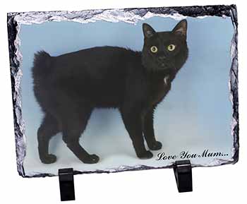 Black Bobtail Cat 