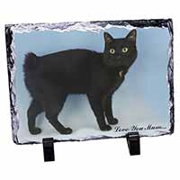 Black Bobtail Cat 