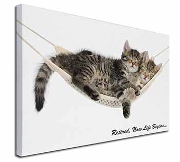 Cats in Hammock Retirement Gift Canvas X-Large 30"x20" Wall Art Print