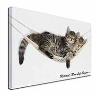 Cats in Hammock Retirement Gift Canvas X-Large 30"x20" Wall Art Print