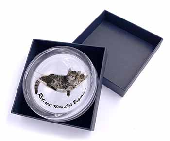 Cats in Hammock Retirement Gift Glass Paperweight in Gift Box