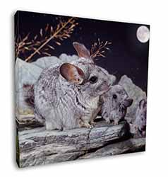 South American Chinchillas Square Canvas 12"x12" Wall Art Picture Print