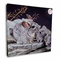 South American Chinchillas Square Canvas 12"x12" Wall Art Picture Print