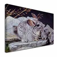 South American Chinchillas Canvas X-Large 30"x20" Wall Art Print