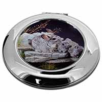 South American Chinchillas Make-Up Round Compact Mirror