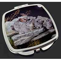 South American Chinchillas Make-Up Compact Mirror