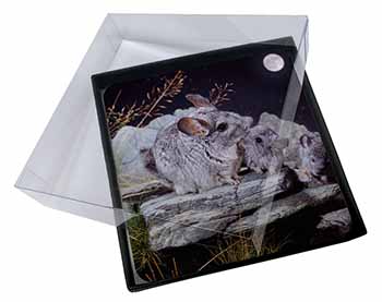 4x South American Chinchillas Picture Table Coasters Set in Gift Box