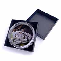 South American Chinchillas Glass Paperweight in Gift Box