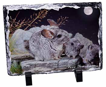 Moonlight Chinchillas 