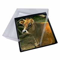 4x Red Cow Picture Table Coasters Set in Gift Box