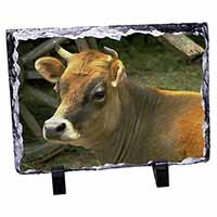Red Cow, Stunning Animal Photo Slate