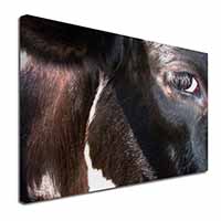 Pretty Fresian Cow Face Canvas X-Large 30"x20" Wall Art Print