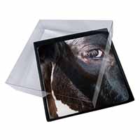 4x Pretty Fresian Cow Face Picture Table Coasters Set in Gift Box